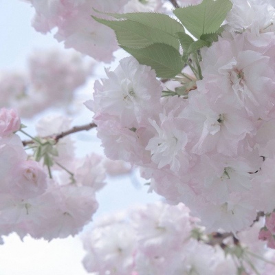 兽设原创构思技巧FurryQQ群